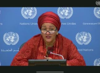 Deputy Secretary General