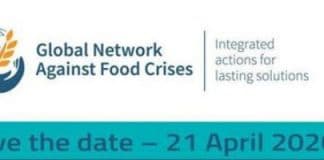 Global network against Food Crises