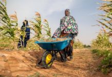 Agriculture
