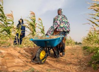 Agriculture