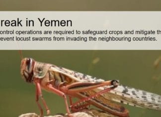 Yemen