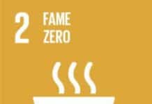 SDGs: Fame zero