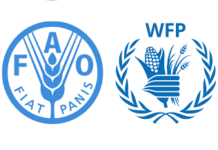 logo wfp