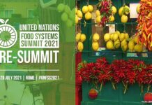 Pre-Vertice delle Nazioni Unite sui Sistemi Alimentari – Roma, 26-28 luglio 2021