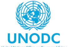 UNODC: Lancio globale del “2021 World Drug Report” giovedì 24 giugno