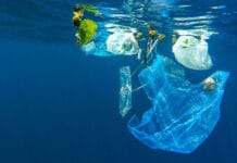 Rifiuti di plastica in mare