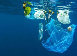 Rifiuti di plastica in mare