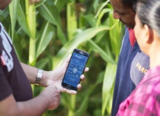 FAO Innovation Award