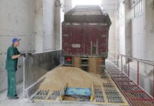 FAO cereal production