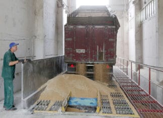 FAO cereal production