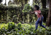 Food-agriculture
