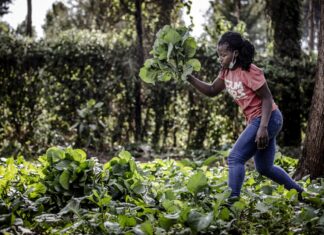 Food-agriculture