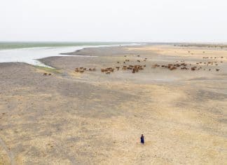 Mauritania landscape