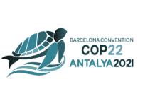 COP 22 logo