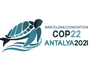 COP 22 logo