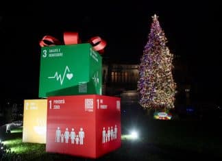 Albero Natale Roma