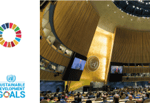 SDG