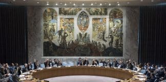 consiglio di sicurezza ONU