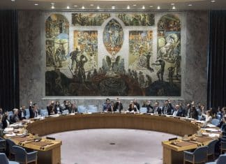 consiglio di sicurezza ONU