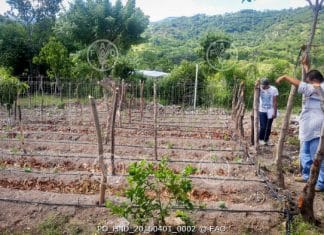 Honduras - FAO irrigation system.FAO is supporting the countries of the Dry Corridor in Central America to increase the resilience of households, communities and institutions to prevent and address disaster risks that affect agriculture and food and nutrition security in a timely and efficient manner.
