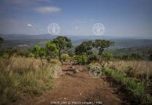 Transboundary Agro-ecosystem Management Programme for the Kagera river basin (Kagera Tamp)