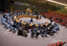 United Nations Security Council
