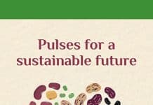 Pulses for a Sustainable Future