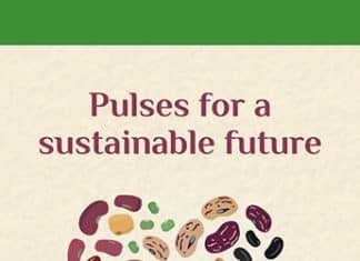Pulses for a Sustainable Future
