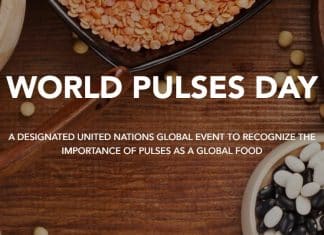 foto illistra legumi