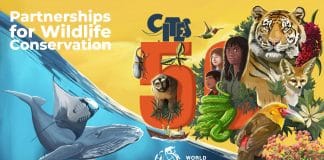 World Wildlife Day