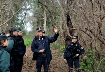 carabinieri nella foresta