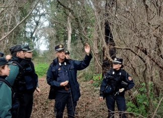 carabinieri nella foresta
