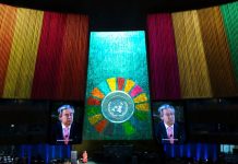 SDG Summit