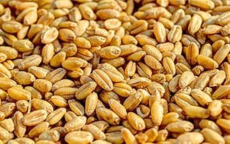 cereali