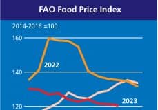 Indice FAO dei prezzi alimentari in calo ad ottobre. Calano le quotazioni internazionali di riso, grano, olio di palma e carne suina.