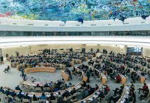 NEWS RELEASE - Gaza: UN experts call on international community to prevent genocide against the Palestinian people