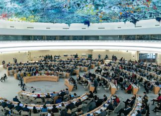 NEWS RELEASE - Gaza: UN experts call on international community to prevent genocide against the Palestinian people