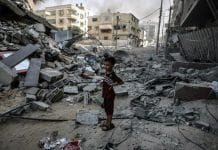 Appello Lampo: Territori Palestinesi Occupati 2024