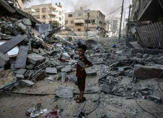 Appello Lampo: Territori Palestinesi Occupati 2024