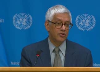 Farhan Haq, Vice Portavoce del Segretario Generale