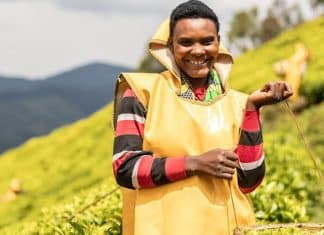 In alta montagna, nella provincia occidentale del Ruanda, Josephine Nyirakarenga lavora in una piantagione di tè in una delle zone più difficili da raggiungere, a 2.400 metri sul livello del mare.