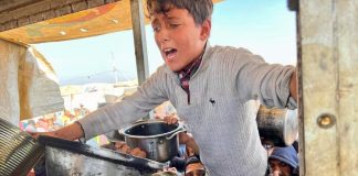 L’infrastruttura agricola di Gaza continua a deteriorarsi a un ritmo allarmante
