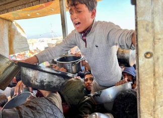 L’infrastruttura agricola di Gaza continua a deteriorarsi a un ritmo allarmante