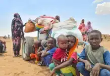 WFP