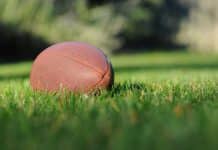 Palla da Rugby