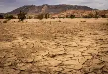 Paesaggio caratterizzato da siccità
