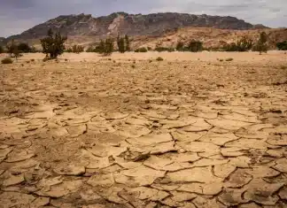 OMM: Cooperazione italo-africana per rafforzare i sistemi di allerta precoce nel Sahel Paesaggio caratterizzato da siccità