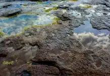 Terreno e acqua contaminati