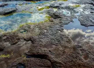 Ripulire il passato: l’UNEP e l’Italia affrontano il problema dell’inquinamento nei Balcani occidentali Terreno e acqua contaminati
