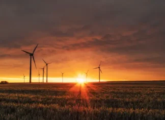 Pale eoliche, energia rinnovabile